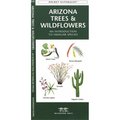 Waterford Press Waterford Press WFP1583551882 Arizona Tree and Wildflowers Book WFP1583551882